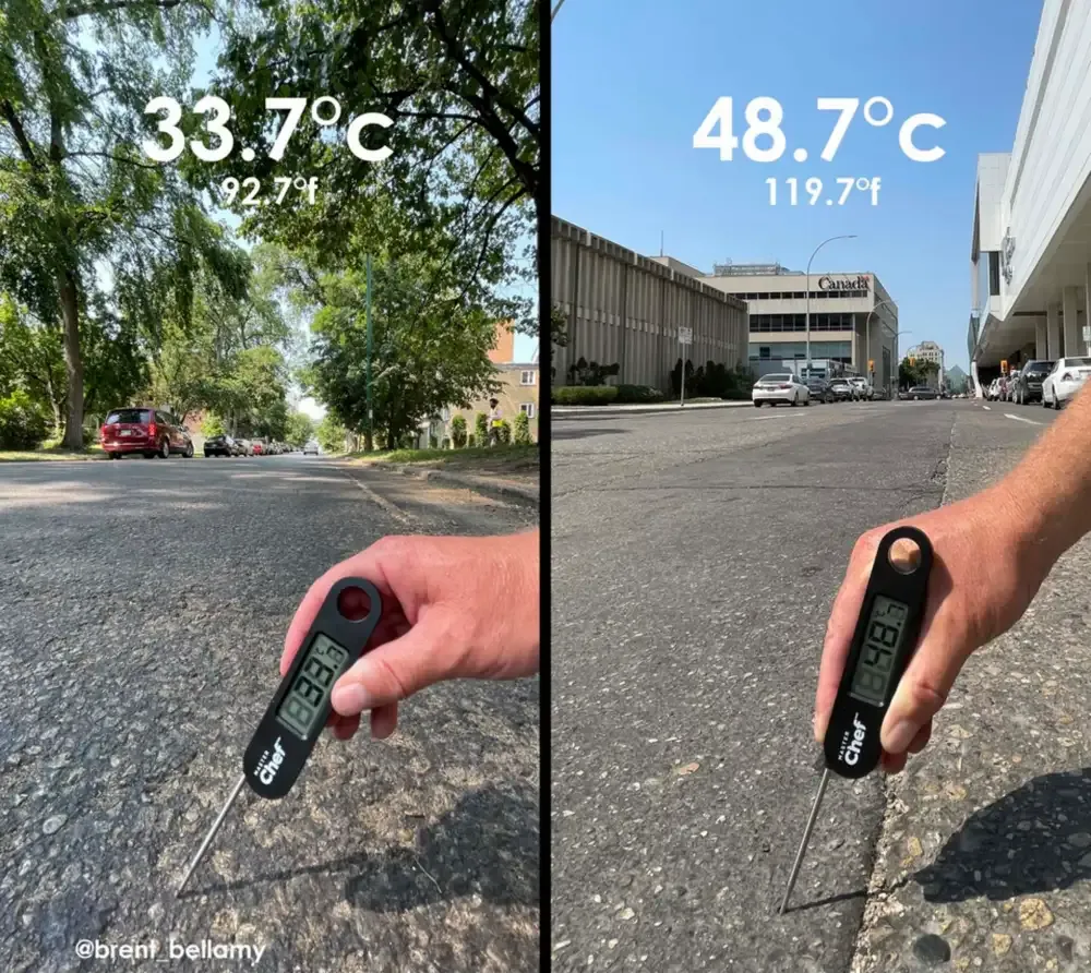 دمای سطح جاده در بلوک&zwnj;های مجاور یک خیابان. درختان خیابان بلوک دوم برای ایجاد خطوط بیشتر برای وسایل نقلیه بریده شده&zwnj;اند.